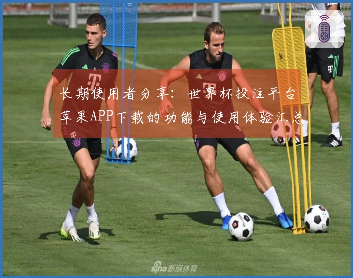 长期使用者分享：世界杯投注平台苹果APP下载的功能与使用体验汇总