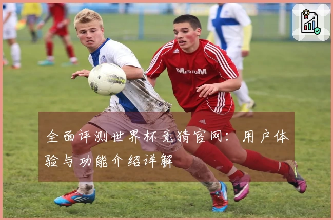 全面评测世界杯竞猜官网：用户体验与功能介绍详解