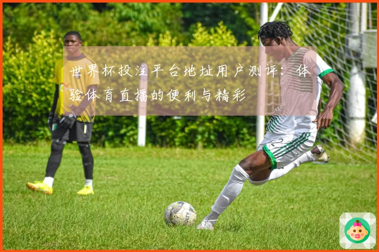 世界杯投注平台地址用户测评：体验体育直播的便利与精彩
