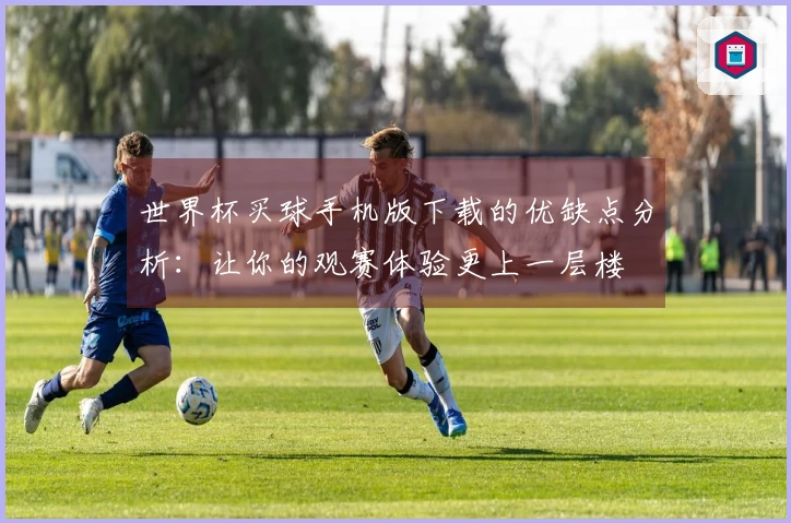 世界杯买球手机版下载的优缺点分析：让你的观赛体验更上一层楼