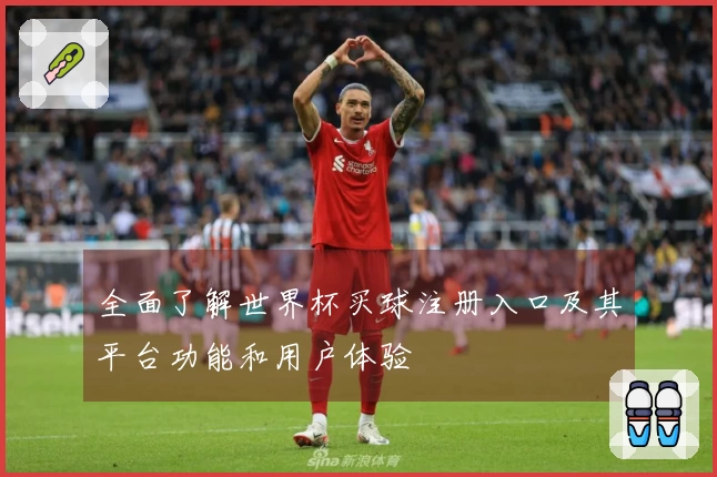 全面了解世界杯买球注册入口及其平台功能和用户体验