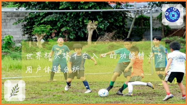世界杯买球平台入口的功能特点与用户体验分析