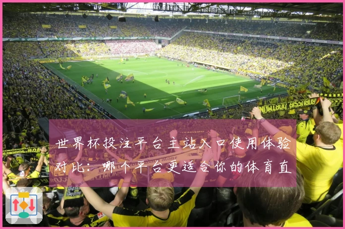 世界杯投注平台主站入口使用体验对比：哪个平台更适合你的体育直播需求-