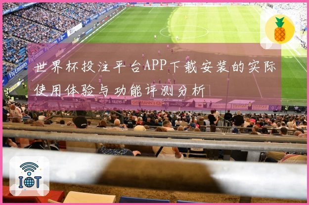 世界杯投注平台APP下载安装的实际使用体验与功能评测分析