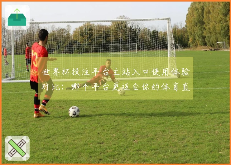 世界杯投注平台主站入口使用体验对比：哪个平台更适合你的体育直播需求-