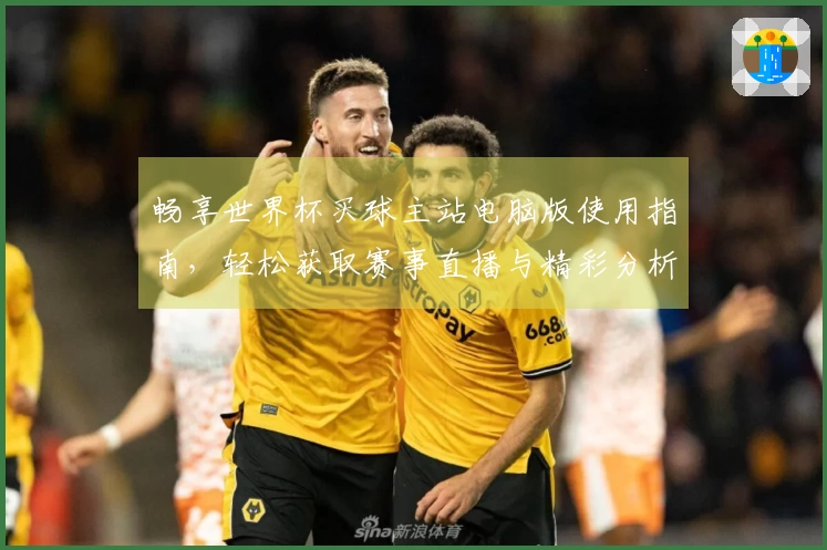 畅享世界杯买球主站电脑版使用指南，轻松获取赛事直播与精彩分析