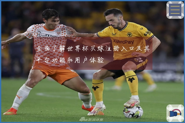全面了解世界杯买球注册入口及其平台功能和用户体验