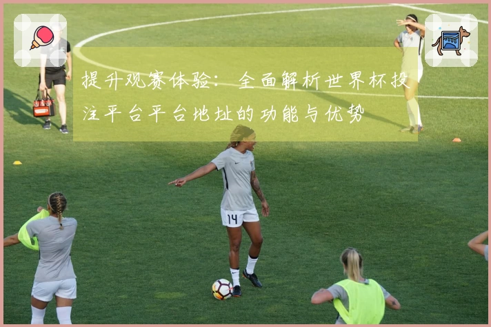 提升观赛体验：全面解析世界杯投注平台平台地址的功能与优势